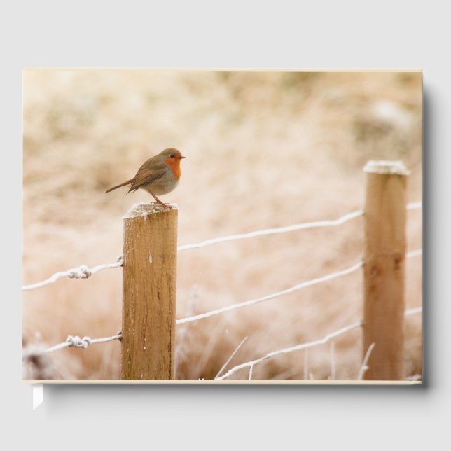 Livro De Visitas Winter Robin Redbreast (Frente)
