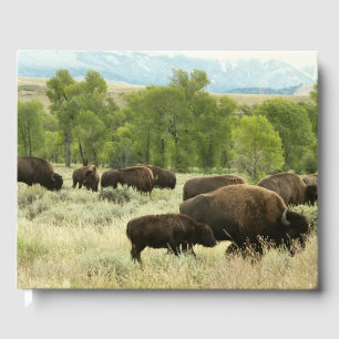Livro De Visitas Wyoming Bison Nature