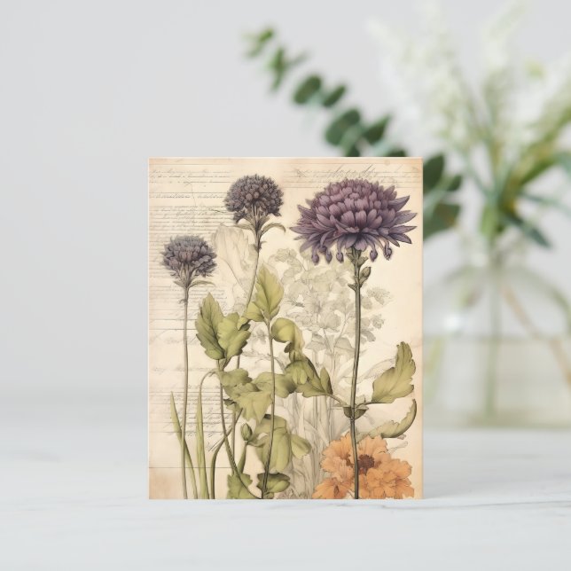 Livro-manual de plantas vitamínicas (Em pé/Frente)