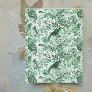 Livro Verde das Aves e Flores Franceses