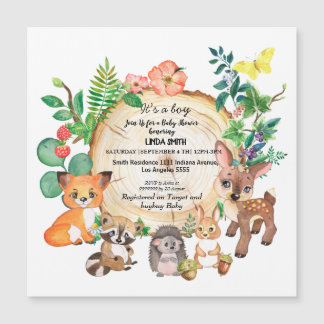 Livros infantis sobre florestas e plantas floresta