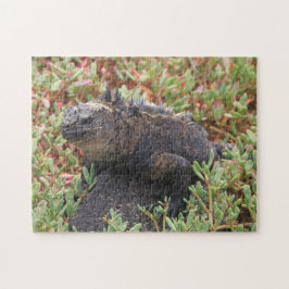 Lizard Quebra-cabeça
