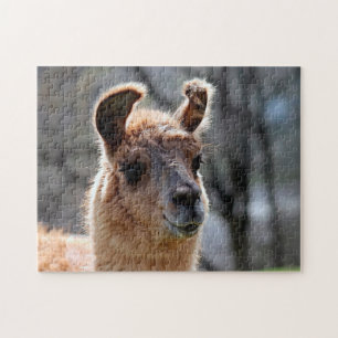 Llama Portrait, Quebra-cabeça de Jigsaw