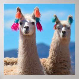 Llama Poster Art