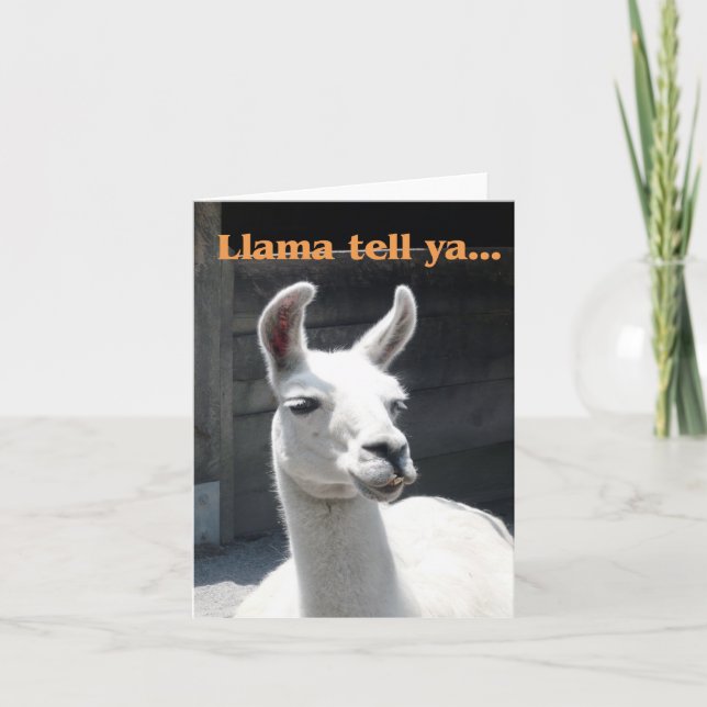 "Llama Tell Ya" Llama Sorridente Cartão de Nota em (Frente)