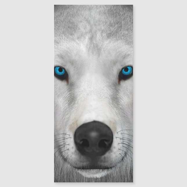 Lobo Ártico (Frente)
