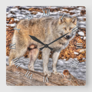 Lobo Branco, Neve e Relógio de Arte da Vida Selvag