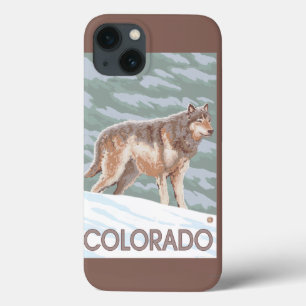 Lobo cinzento StandingColorado