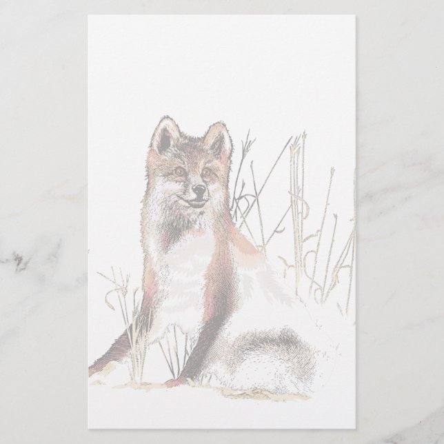 Lobo de inverno (Frente)