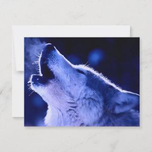 Lobo do urro