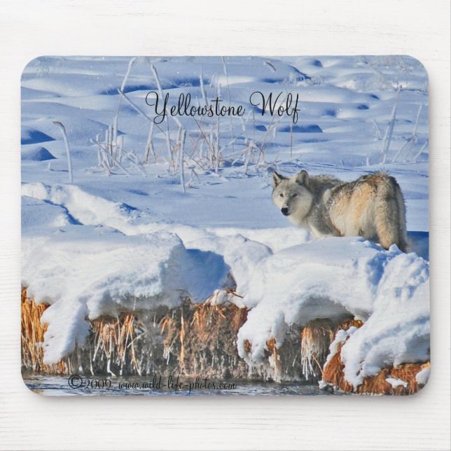Lobo Mousepad de Yellowstone (Frente)