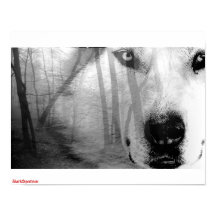 Lobo na Floresta Poster DarkSpectrum original