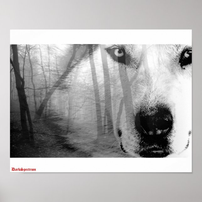 Lobo na Floresta Poster DarkSpectrum original (Frente)