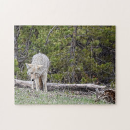 Lobo na Quebra-cabeça de Yellowstone