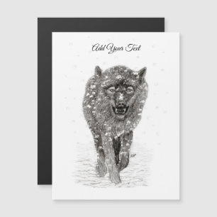 Lobo Negro Zangado na Neve, inverno selvagem