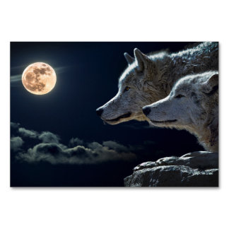 Lobos Brancos Givando no Cartão de Mesa da Lua Com