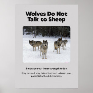 Lobos não falam com a Poster de Motivação Ovina