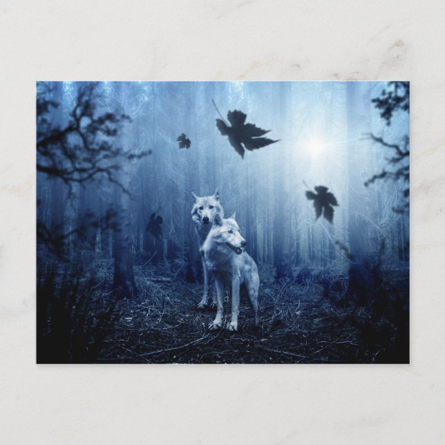 lobos no cartão postal (Frente)