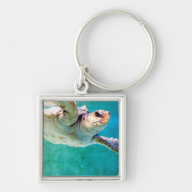 Loggerhead nº 3 Chaveiro (Frente)