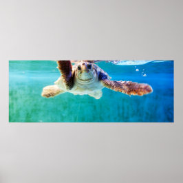 Loggerhead nº 4 Poster