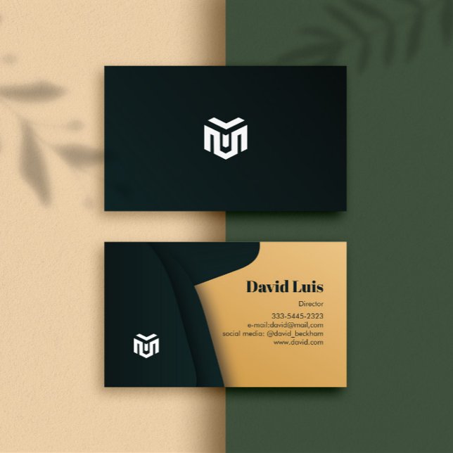 Logotipo de Cartões de visitas profissionais moder (Modern Bussiness Card)