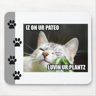 LOLCat Sassy Mousepad