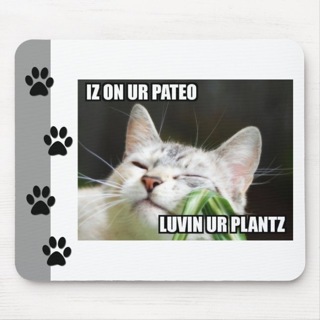 LOLCat Sassy Mousepad (Frente)