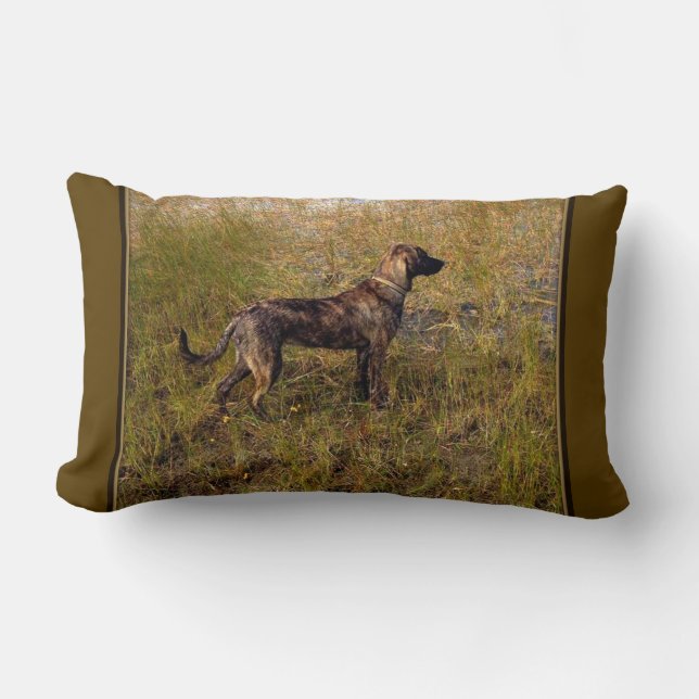 Lombar Almofada de caça Plott Hound (Frente)