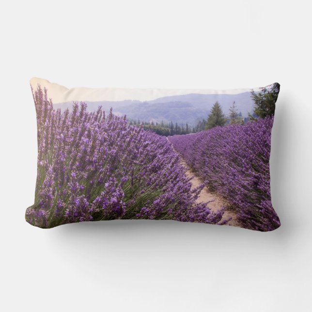 Lombar Almofada de campo de lavanda (Frente)