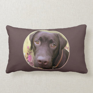 Lombar Almofada labrador Jimmy