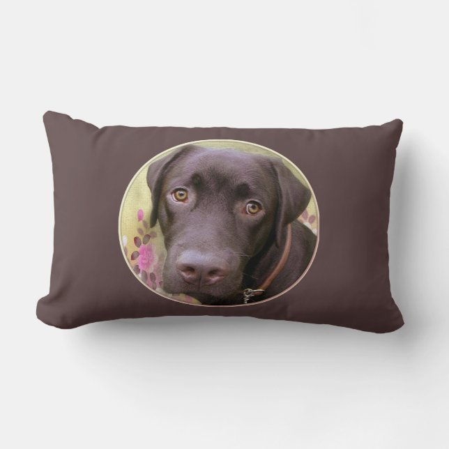 Lombar Almofada labrador Jimmy (Frente)