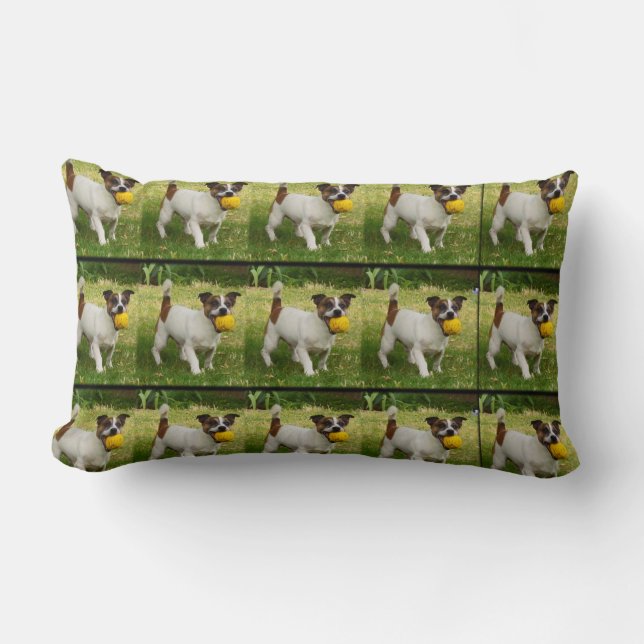 Lombar Fox Terrier Com Sua Almofada Lumbar. (Frente)