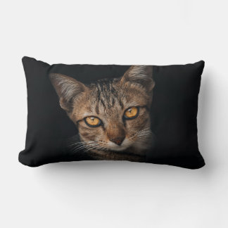 Lombar Retrato Realista de Gato Tabby em Almofada Preta |