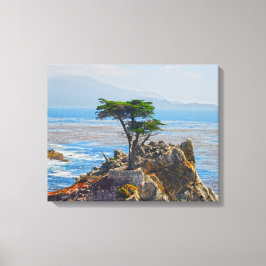 Lone Cypress, Monterey, California Canvas Print