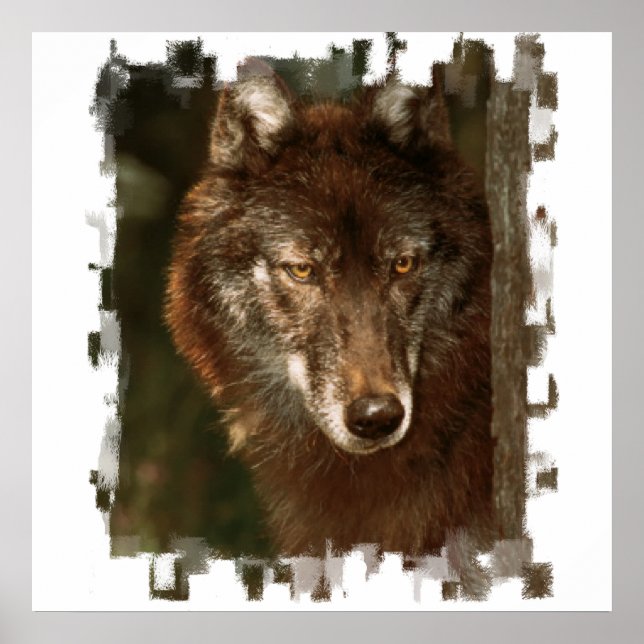 Lone Wolf Poster (Frente)