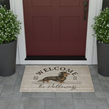 Longhair Dachshund Nome da Família Personalizada B