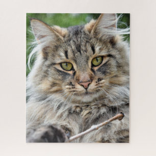 Longhair Tabby Cat Jigsee Quebra-cabeça