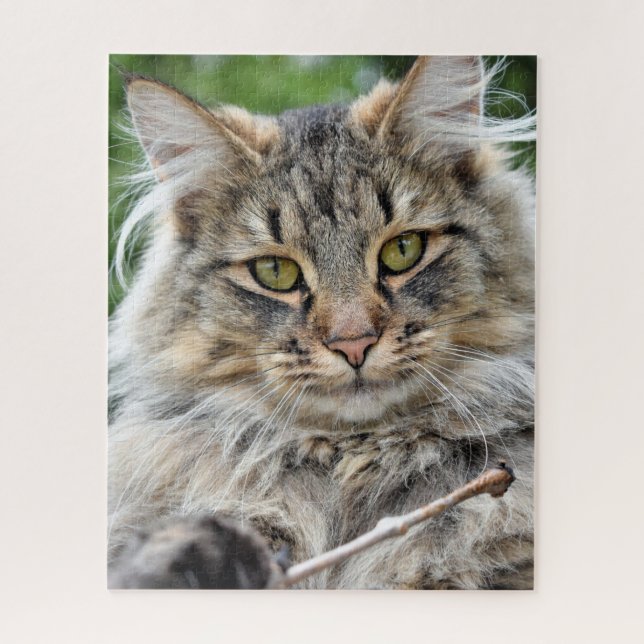 Longhair Tabby Cat Jigsee Quebra-cabeça (Vertical)