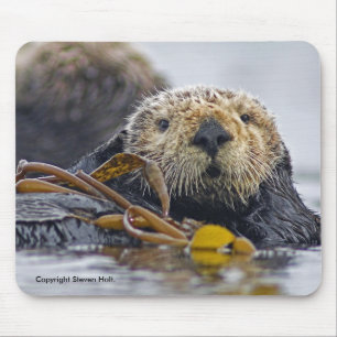 Lontra de mar Mousepad de Califórnia