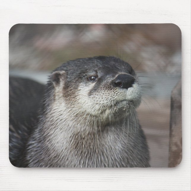 Lontra de rio norte-americana Mousepad (Frente)