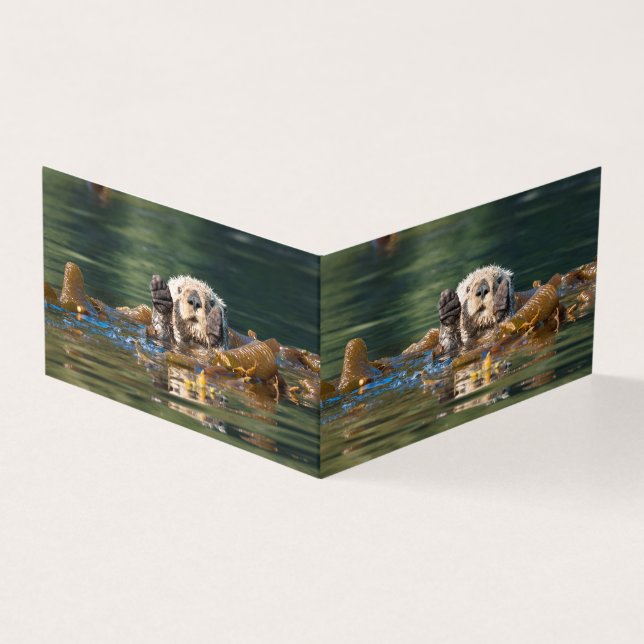 Lontra do Mar de Onda (Exterior)