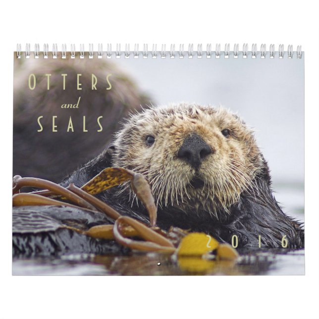 Lontras de mar e calendário de parede dos selos (Capa)