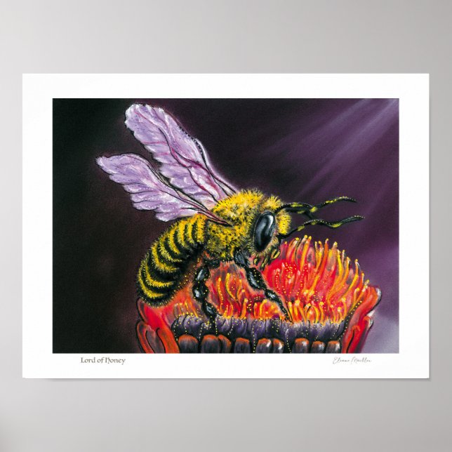 Lord of Honey - Poster (Frente)