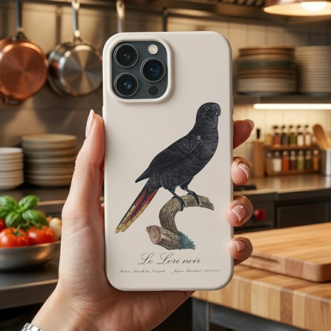 Lório-preto ou Lório-de-bico-vermelho, Chalcopsitt (Black Lory or Red-Quilled Lory, Chalcopsitta atra. iPhone Case)
