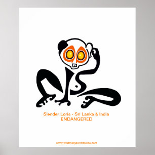 Loris magro - poster