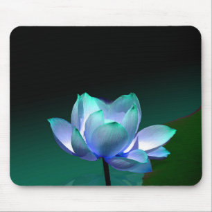 Lótus azul em plena floração, mousepad