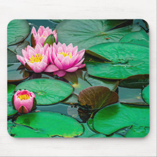 Lótus cor-de-rosa do lago Mousepad