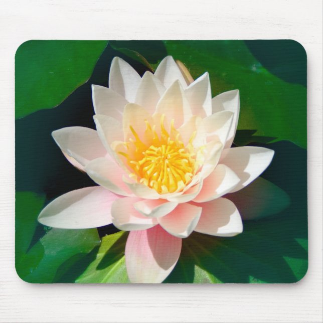 Lotus Mousepad (Frente)