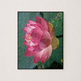 Lotus Rosa - Quebra-cabeça
