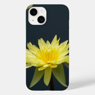 Lotus Waterlily Amarela